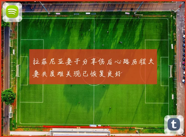 拉菲尼亚妻子分享伤后心路历程夫妻共度难关现已恢复良好